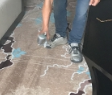 绿植是否可以除甲醛