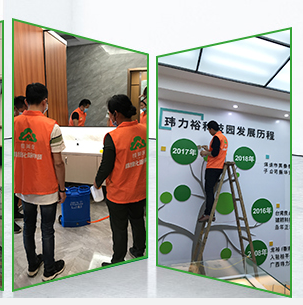 有哪些室内治理甲醛的方法？